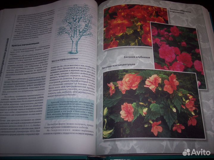 Большая книга по цветоводству