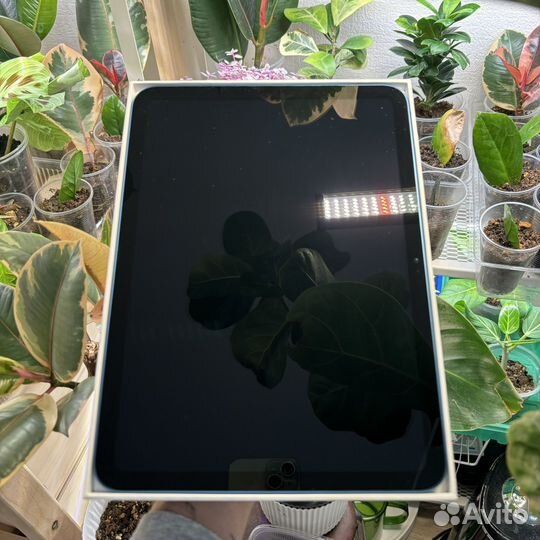 Apple iPad 10.9 2022