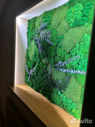 Фитокартина