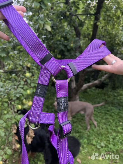 Шлейка для средней собаки Authentic Rogz Gear