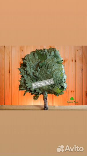 Дубовые липовые хвойные веники