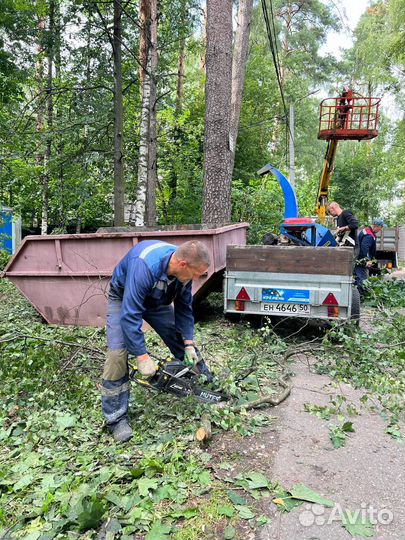 Расчиска участка. Снос, демонтаж