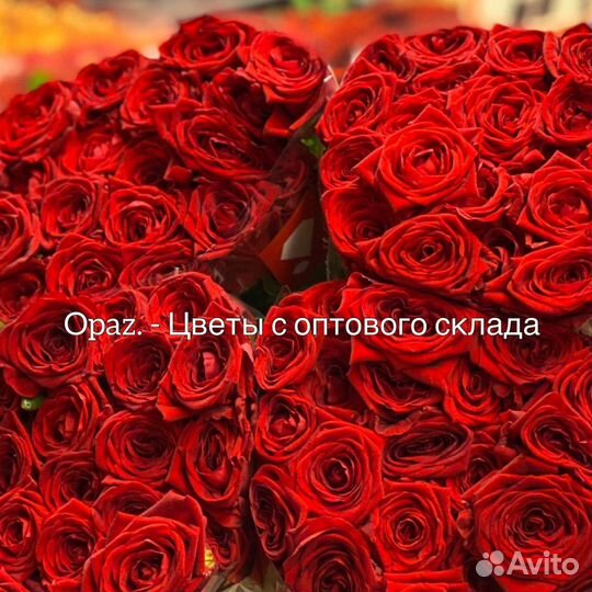 Розы оптом