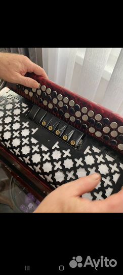 Баян тульский