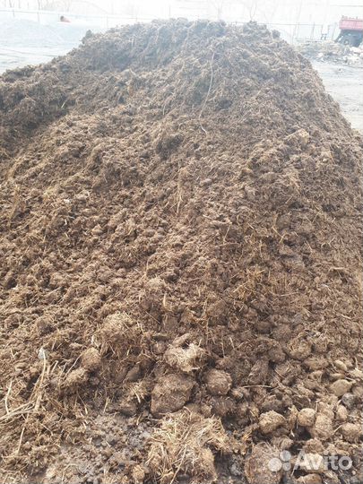 Перегной конский