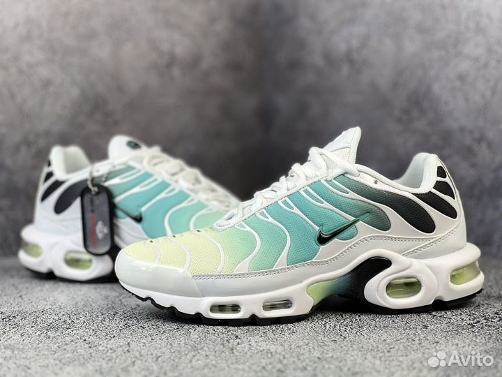 Кроссовки Nike air max tn plus