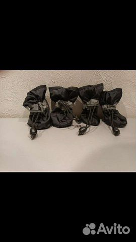 Одежда для собак