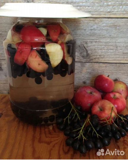 Черноплодная рябина ягоды Ярославская область