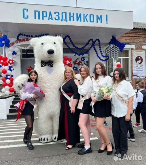 Медведь на день рождения