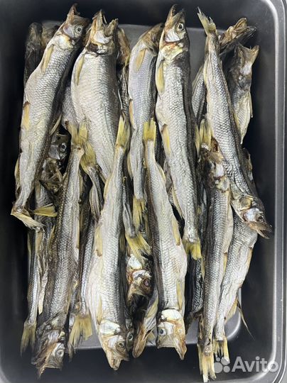 Корюшка вяленая (Камчатка) 100 гр