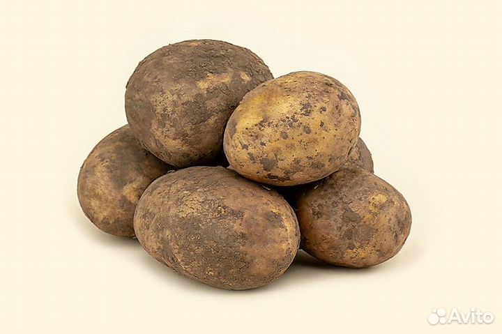 Картофель
