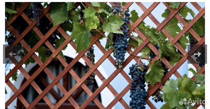 Шпалера деревянная