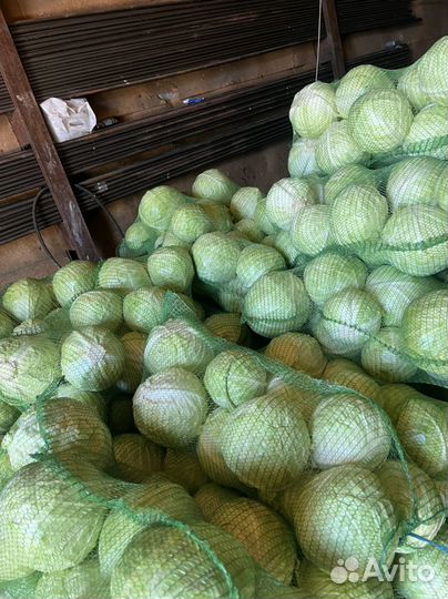 Продам капусту