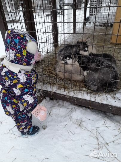 Комбинезон зимний 80 для девочки