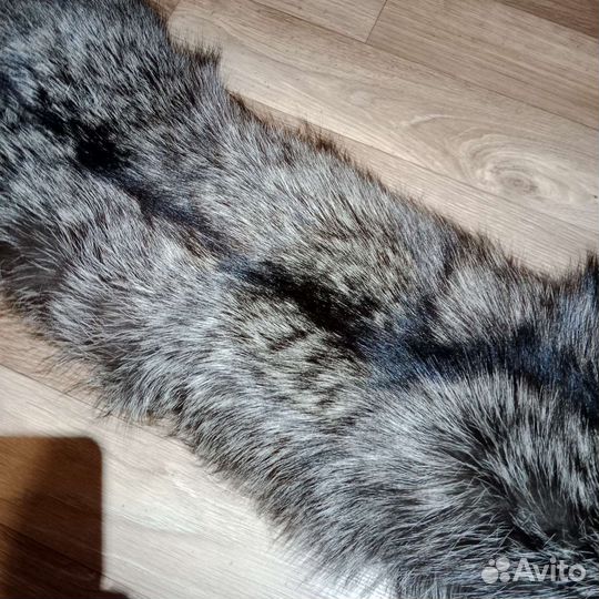 Шкура чернобурой лисы