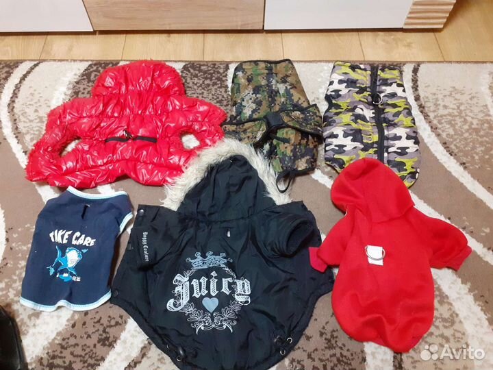 Одежда для собаки