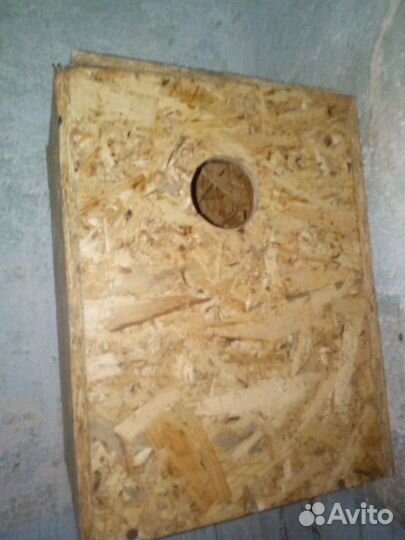 Белки и бельчата