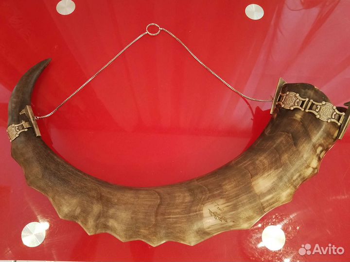 Рог кавказского тура