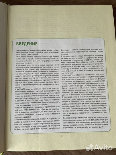 Комнатные расстения от А до Я