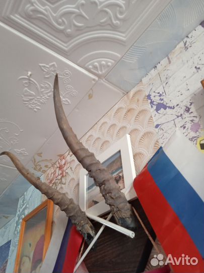 Настенные украшения