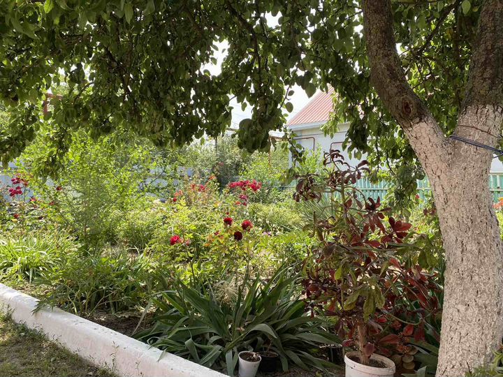 Дом 90 м² на участке 20 сот.