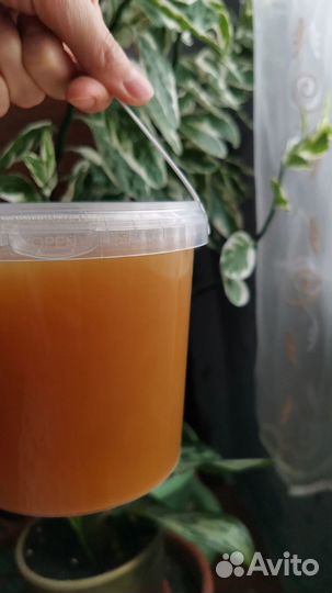 Мёд из экопоселения Сибири