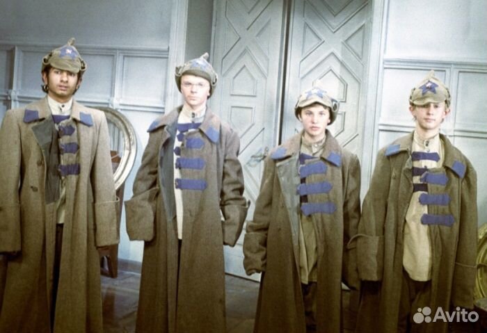 Буденовка темно-серая Тимошенко