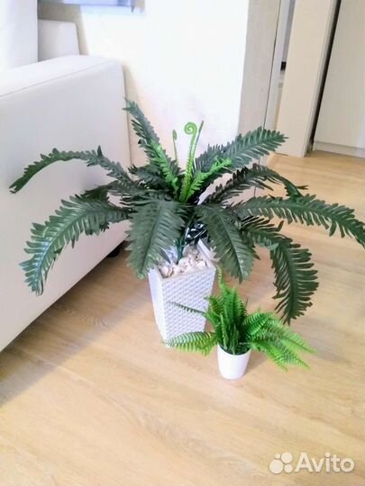 Папоротник искусственный