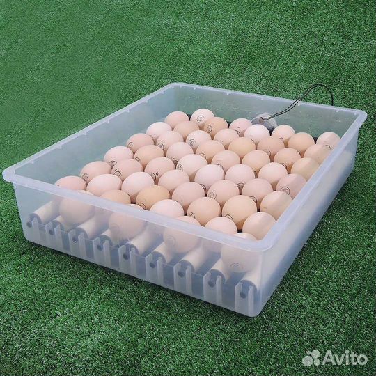 Инкубатор на 64 яйца