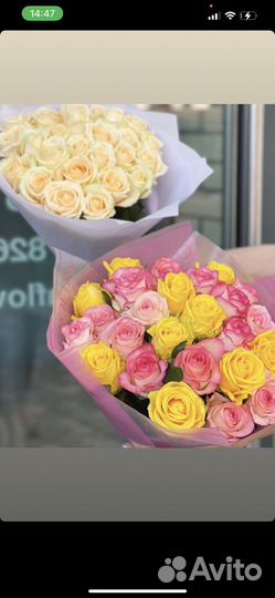 Букет из 25 крупных роз