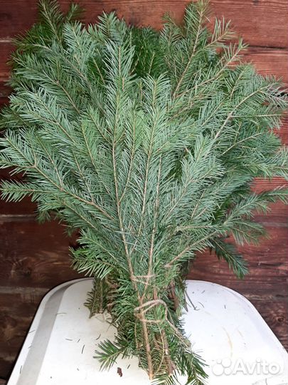 Пихтовые веники для бани