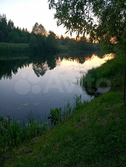 Дом 60 м² на участке 40 сот.