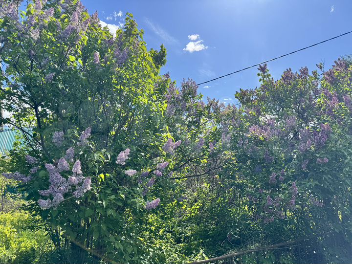 Дом 29 м² на участке 18 сот.