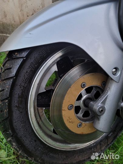 Максискутер