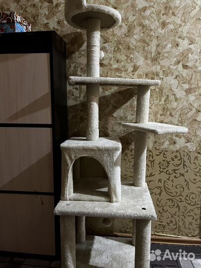 Когтеточка-домик для кошки