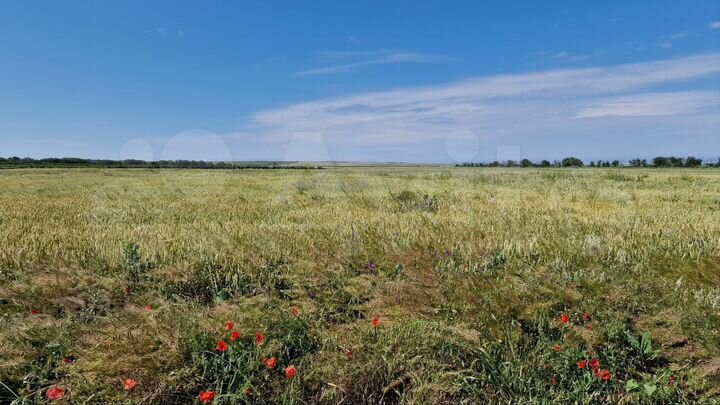 Участок 1,87 га (СНТ, ДНП)