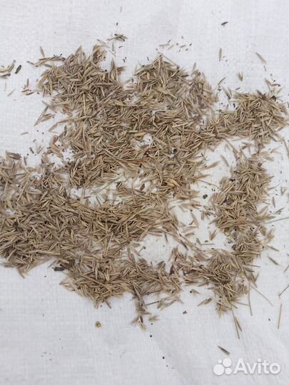 Костёр+ житняк