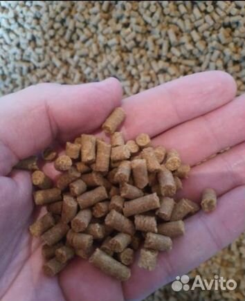 Премиум корм для собак