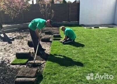 Газон рулонный гарантия