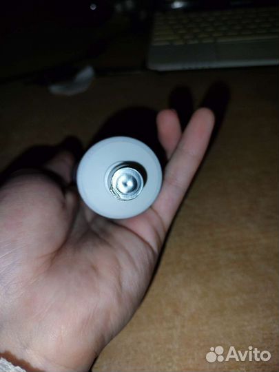 Зубная паста для собак и кошек