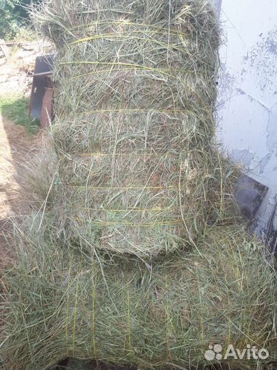 Сено лугавое салома