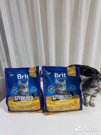 Сухой корм Brit Premium Cat Sterilised, 2 кг