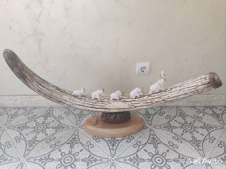 Бивень мамонта