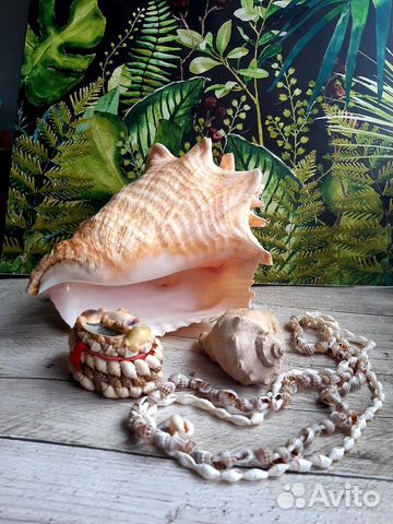 Шкатулки и сувениры морской тематики