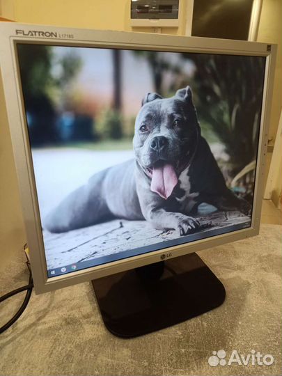 Монитор LG 17 дюймов