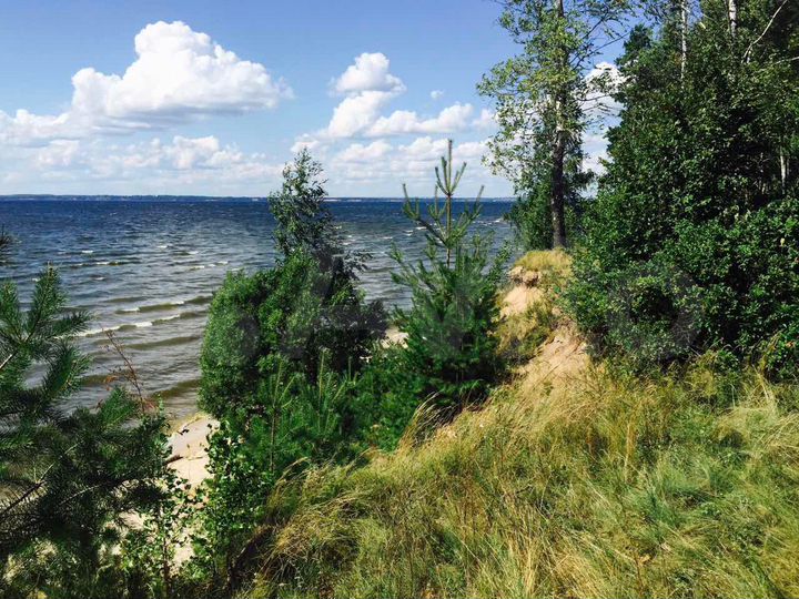 Участок 12,2 га (ИЖС)