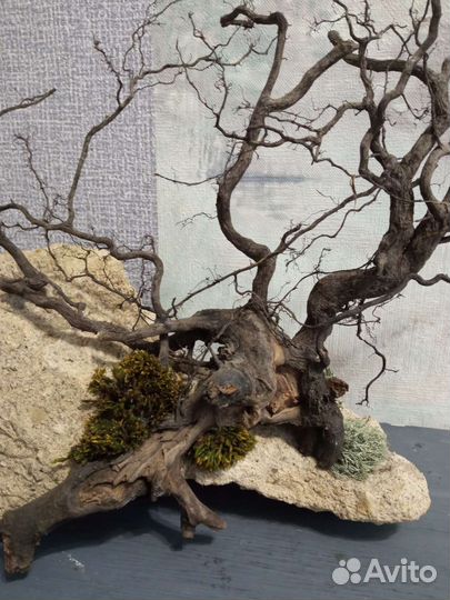 Бонсай. Ручная работа