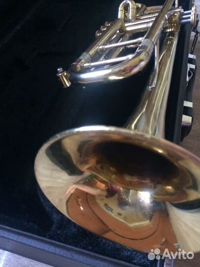 Труба blessing ml 1