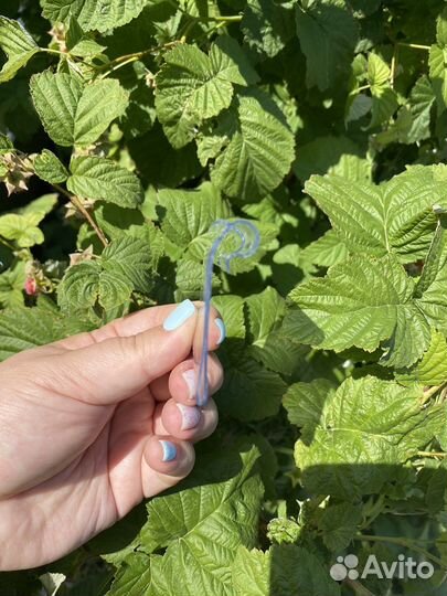 Ценникодержатели пластиковые