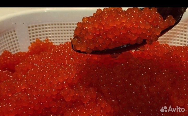 Красная икра 1 кг